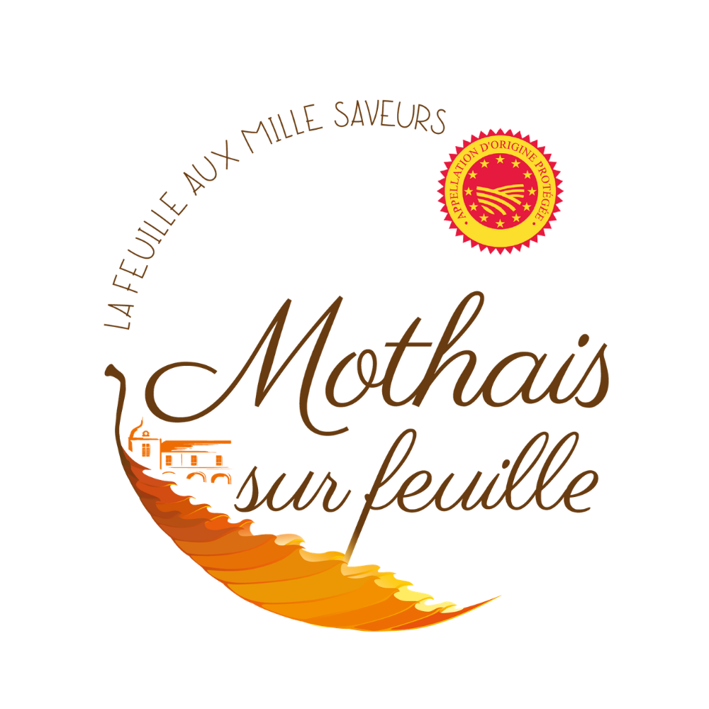 Mothais-sur-feuille-aop